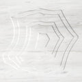 Bianco Dolomite White Marble Field Dimensional Stone MARIANA TRENCH Wall Tile - Livfloors Collection
