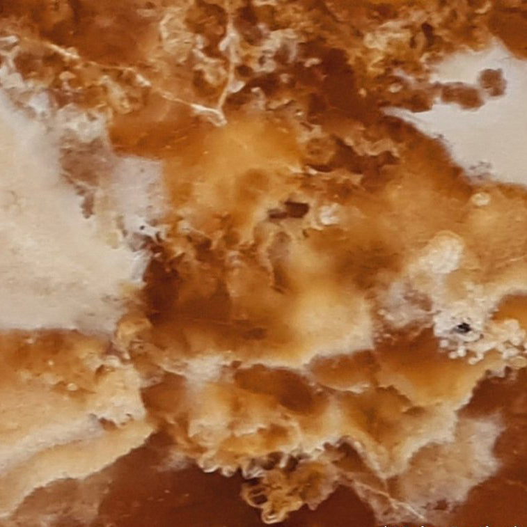Cola Honey Onyx Translucent Bookmatching Slabs Polished - Livfloors Collection