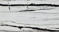 Panda White Bookmatching Marble Slabs Polished - Full Truckload